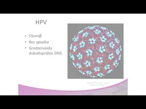 Dr.P.Aldiņš: CPV infekcija infektologa skatījumā