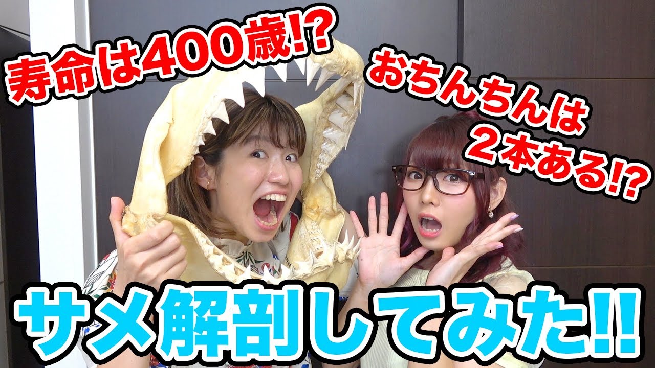 おちんちんが2本!?サメ徹底解剖してアクセサリー作ってみた!【DIY】