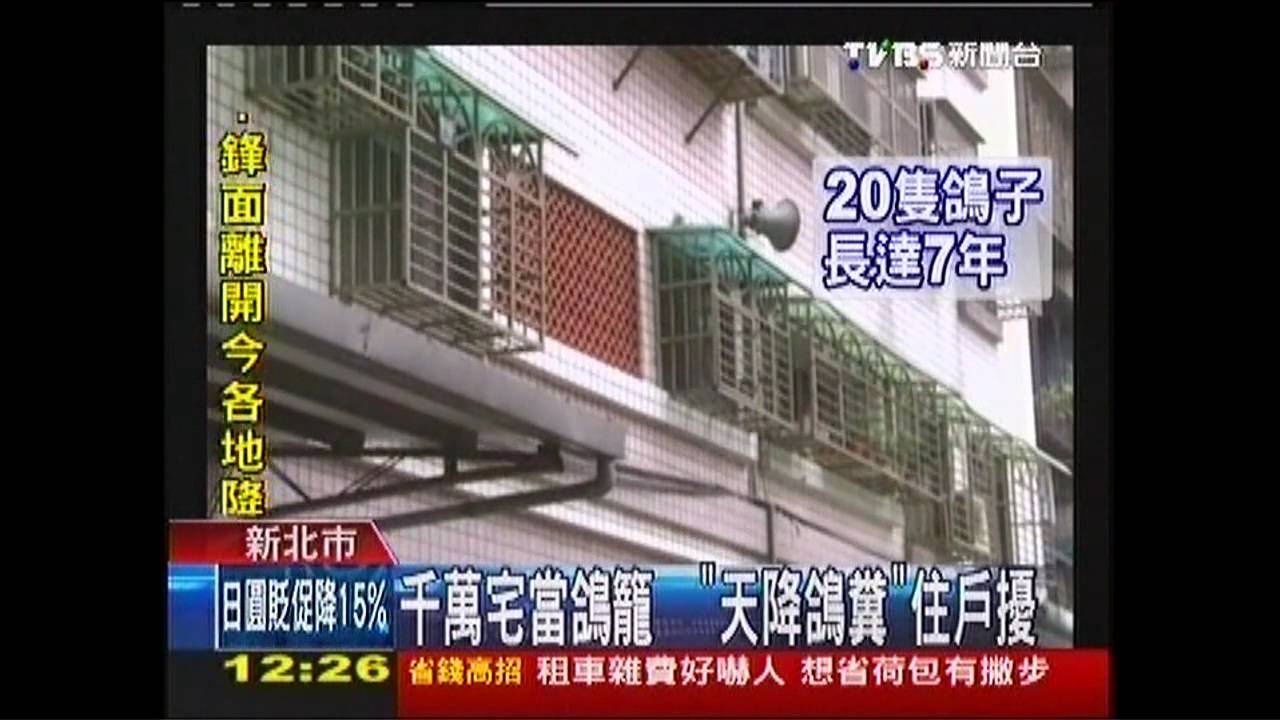 千萬宅當鴿籠　「天降鴿糞」住戶擾