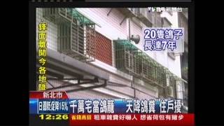 [閒聊] 鴿舍神壇壓低房價可行？