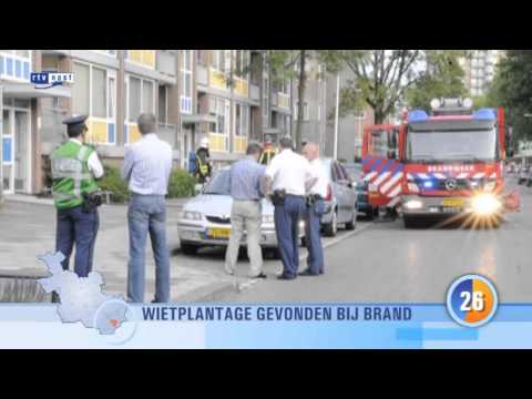 Nieuws in 1 minuut donderdag 9 juni 2011