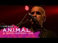 GRITEMOS PARA NO OLVIDAR - A.N.I.M.A.L. en vivo en el @TeatroVorterix