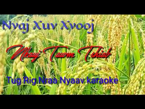 Tug Rig Nraa Nyaav karaoke II Nyaj xuv xyooj 2019–2020