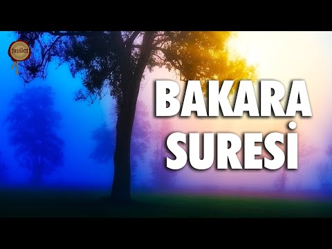 Bakara Suresi | Evdeki Geçimsizliğe Huzursuzluğa Şifa | Eyad Mohra