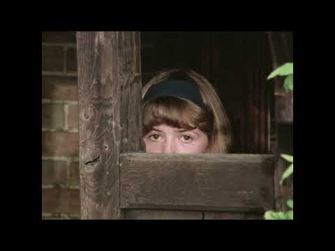 Fünf Freunde auf neuen Abenteuern - Serie 1 Folge 3 - Fünf Freunde 1970's HQ