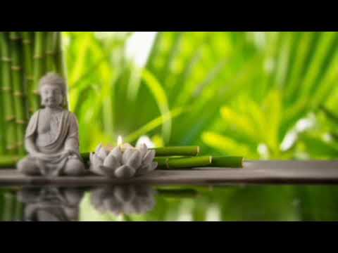 Olaganwaththe Chandrasiri Thero - - | 9.30PM BANA ධර්ම දක්ෂිණා 2020.12.14