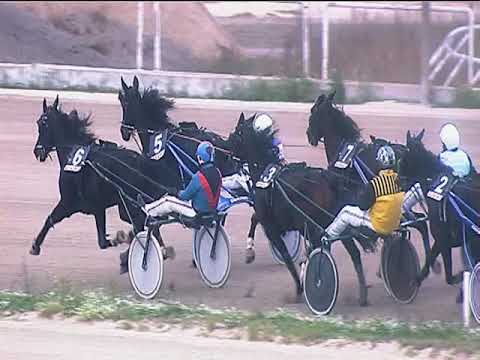 Trotto 23/11/2018 - 2ª corsa