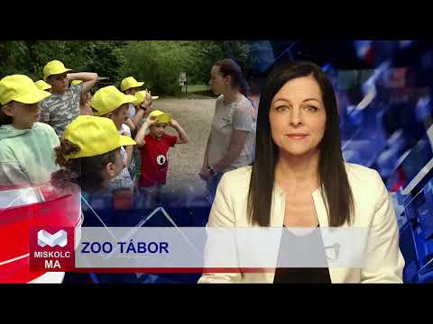 Videó előnézet