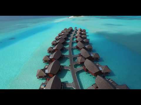 Chambre 13 - Tahiti Plage (sacd)