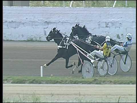 Trotto 22/06/2016 - 6° corsa