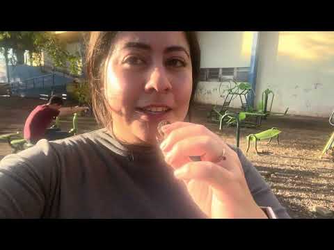 Um vlog por Realeza no Paraná 