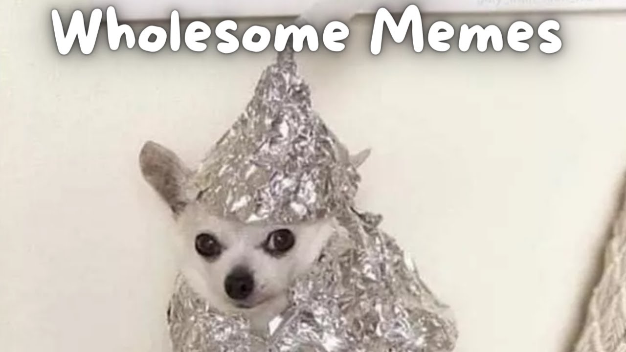 The Most WHOLESOME Memes! #shorts