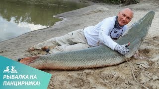 Рыбалка на щуку аллигатор в украине