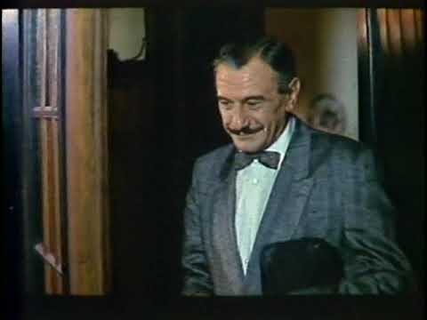 Majstor i Šampita Domaci film 1986