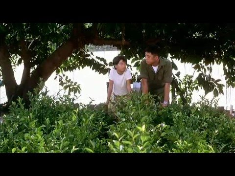 天涯海角 (1996)