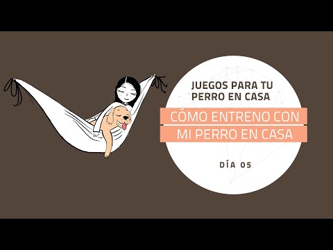 [Juegos para tu perro en casa] DÍA 5: Cómo entreno con mi perro en casa