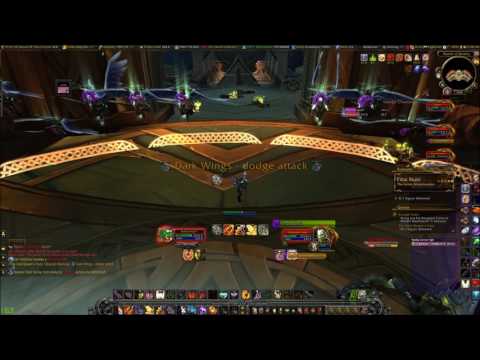 The God-Queen's Fury (Retribution Paladin)