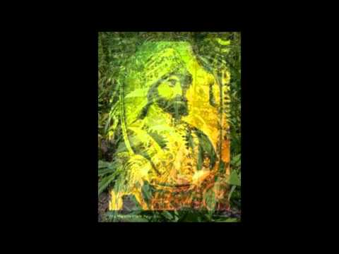 Cedric Im Brooks & The Light of Saba Lamb's Bread Collie