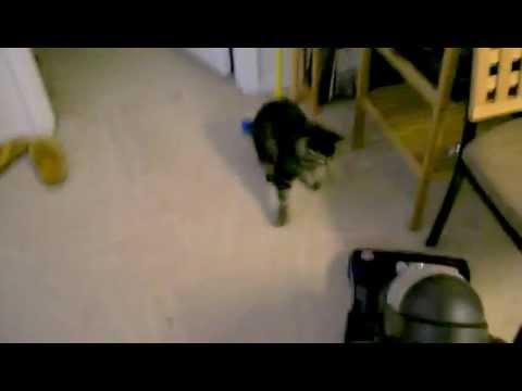 Anakin vs. the vacuum cleaner