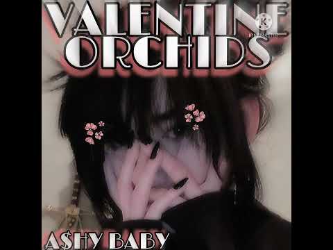 A$hy Baby - Valentine Orchids!! (Prod. Xani) *SC and YT exclusive*