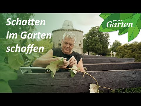 So schaffst du Schatten in deinem Garten | MDR Garten