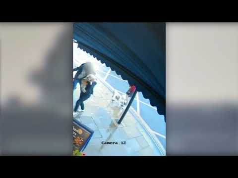 An XL Bully dog viciously attacked another dog and its owner on Strawberry Hill Street in Twickenham