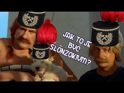 What is it like to be a Silesian? - A scribe's monologue in Silesian