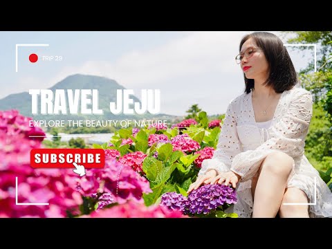 Jeju Island top attractions food and travel tips - complete visitor guide