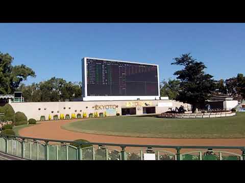 さらば！京都競馬場円形パドック 2020.10.25第1レース