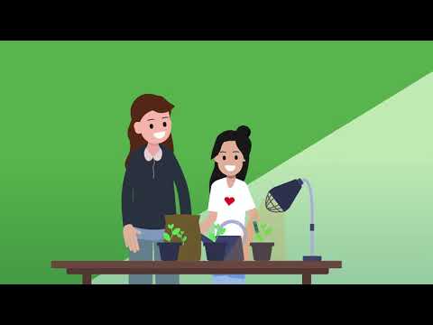 Schritt für Schritt – Von der Idee zum Jugend forscht Projekt