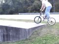 Bmx Dog (2) 