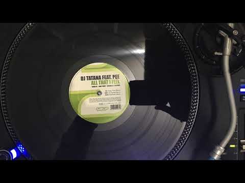 DJ Tatana feat. Pee - All that i feel (Andy Prinz Remix)
