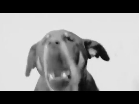 ROGAL DDL & RPS SLU - NIE PRZELICZAM