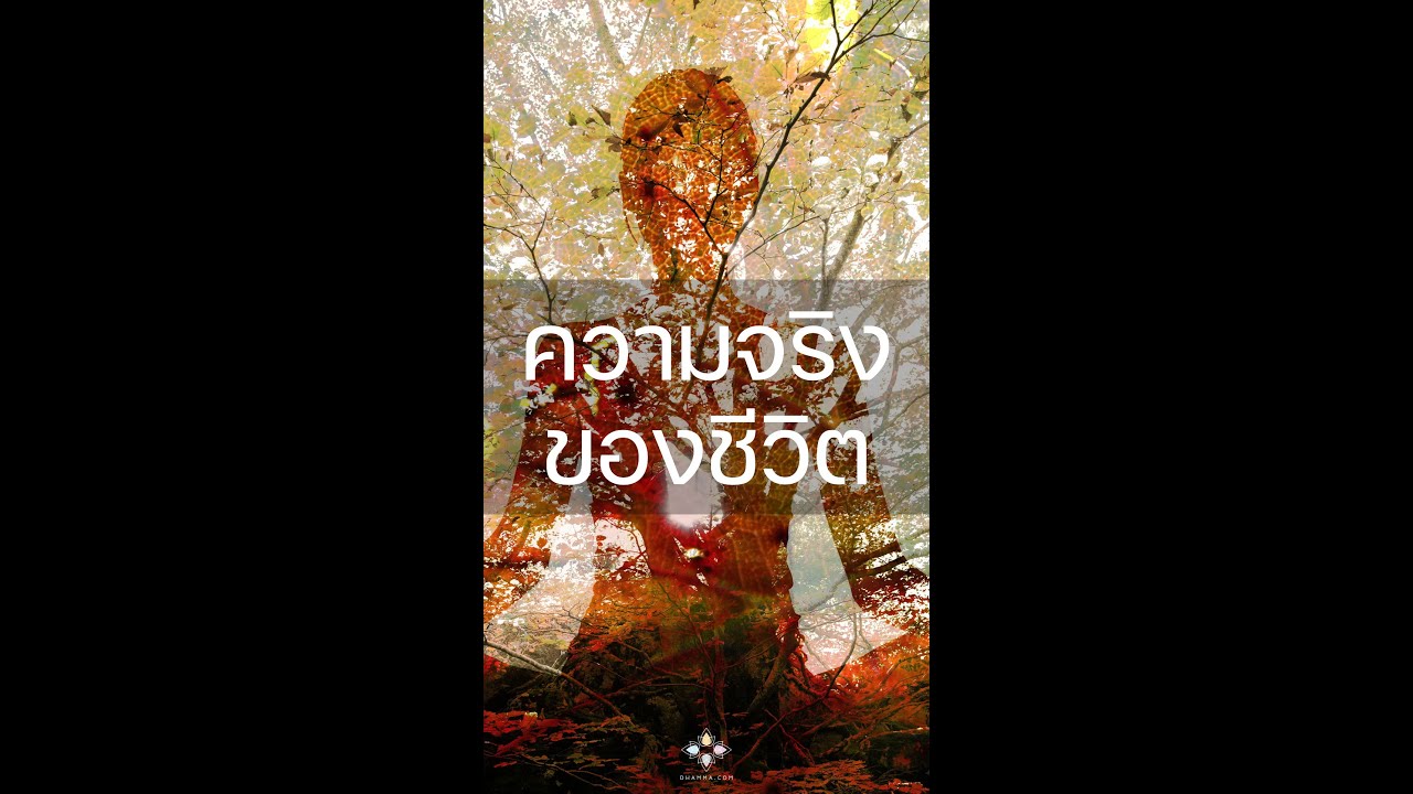 รูปภาพ ดาวโหลด Google Youtube SEO