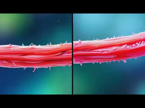 How Stretching Actually Changes Your Muscles