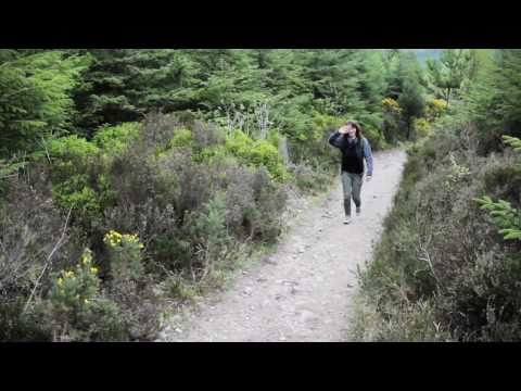 Glen of Aherlow Upper 17/04/2011