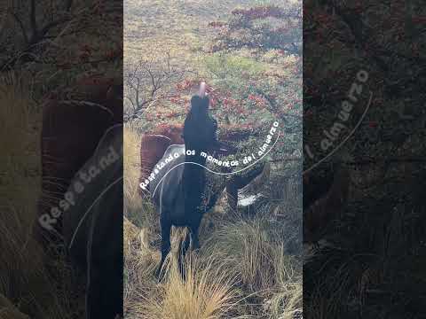 MINI VLOG QUÉ VISITAR EN MERLO, San Luis GRATIS ? #naturaleza #vacaciones #viajes