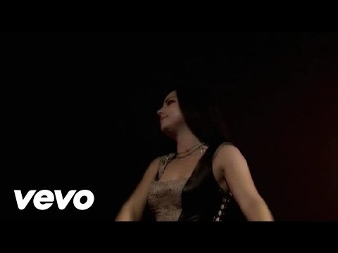 Evanescence - Everybody's Fool (Live)