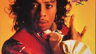 RICK JAMES - Loosey’s Rap (Loosey’s House of Trix Mix) 1988