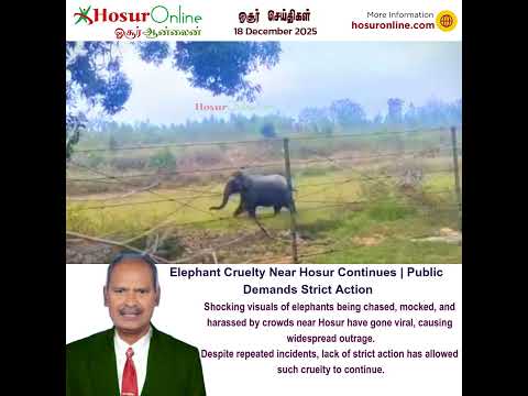 Near Hosur Elephants cried, why?