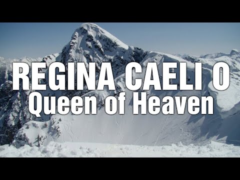 Regina caeli O Queen of Heaven ~ Powerful Daily Prayers #prayers #daily #powerful #shorts
