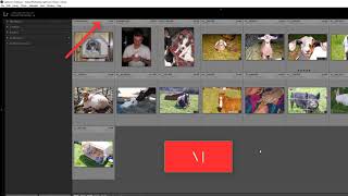 Lightroom Classic CC - Finding the Missing Library Filter Bar