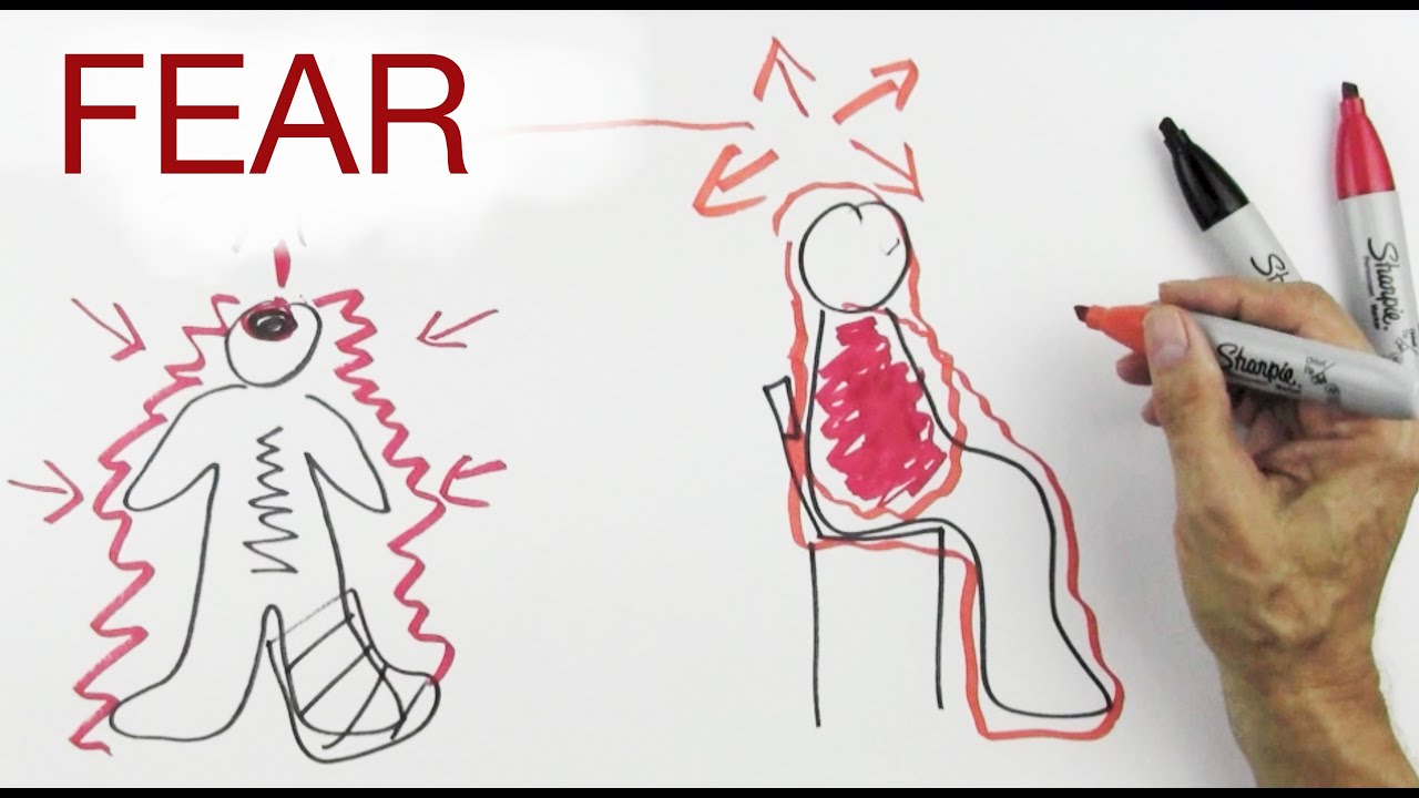 FEAR explained by Hans Wilhelm