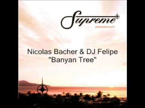 Nicolas Bacher & DJ Felipe - Banyan Tree