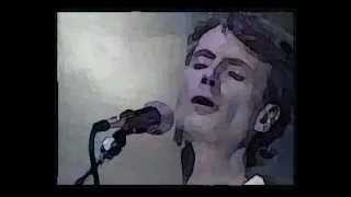 Peter Hammill - "The Wave" - solo version live 1978