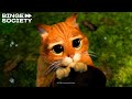 Shrek 2 El Gato Con Botas