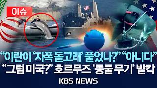 [이슈] 호르무즈에 '자폭 돌고래 부대' 투입했나? 미 국방부 '애매모호' 답변/2026년 5월 6일(수)/KBS