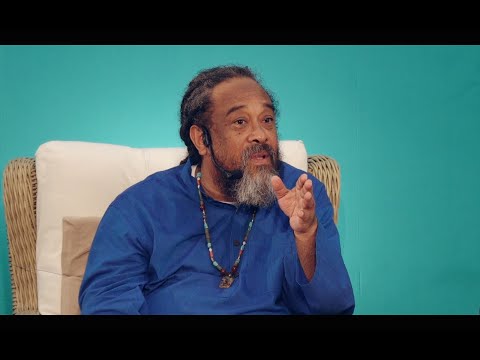 The Answer That Kills Every Question