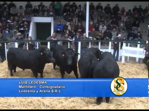 LEDESMA Y ARANA - Cabaña: Los Belchas - Ledesma y Arana S.R.L. - Tandil - 11/09/2013