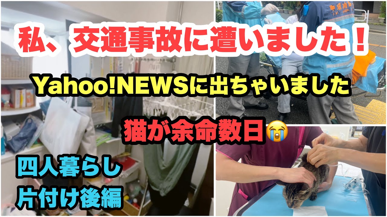 【交通事故の報告と保護猫が危篤】収納部屋の片付けの後編